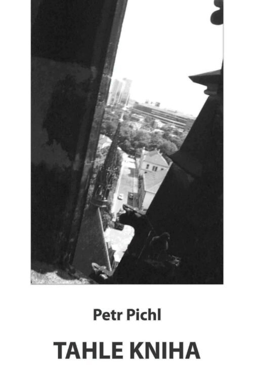 Tahle kniha (PDF)