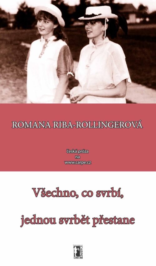 Všechno, co svrbí, jednou svrbět přestane (PDF)